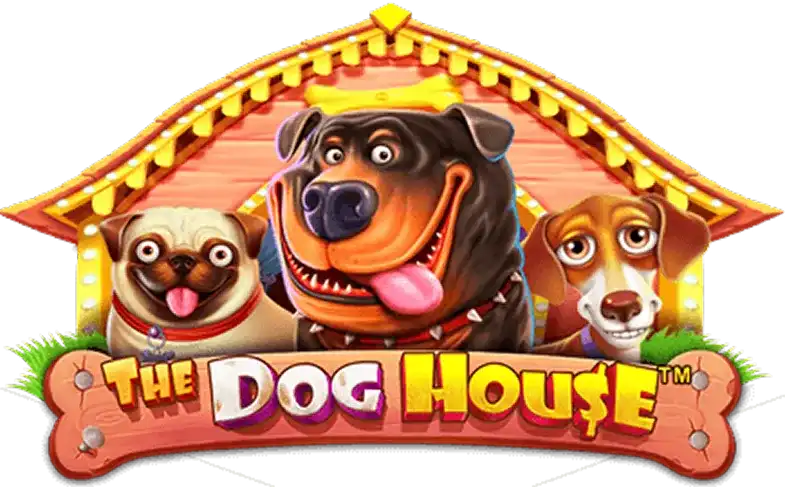 Dog House - mostbetpol.pl